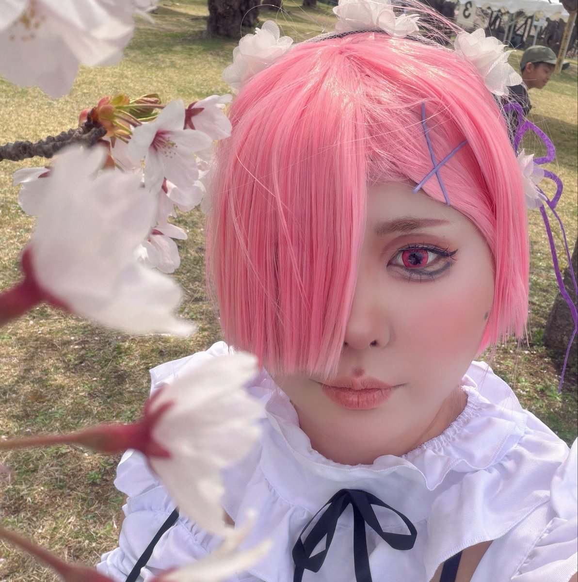 綾瀬 tweet media