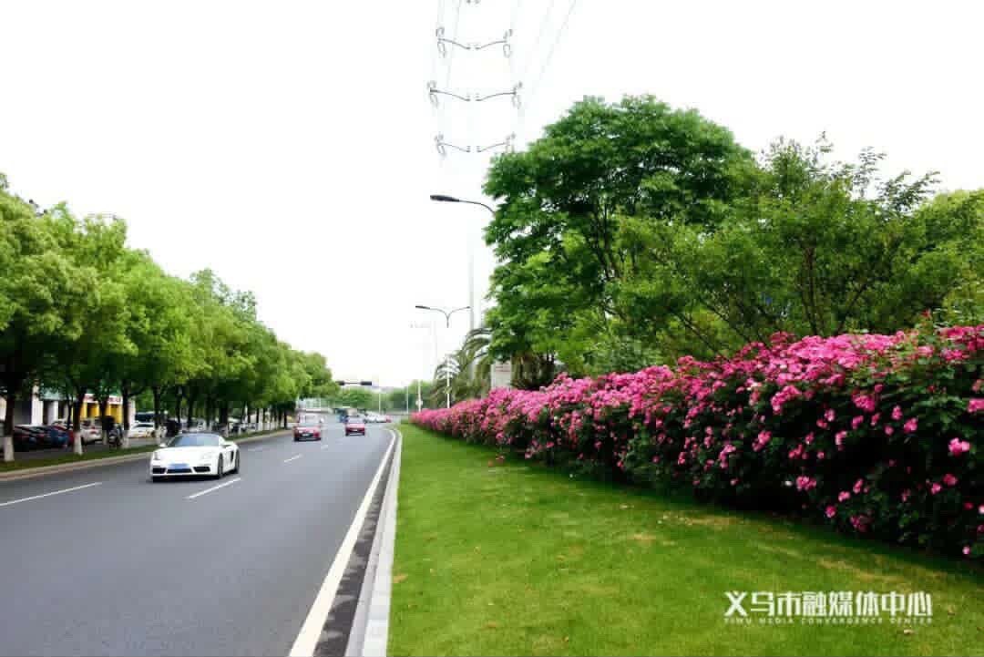 Charming Yiwu tweet media