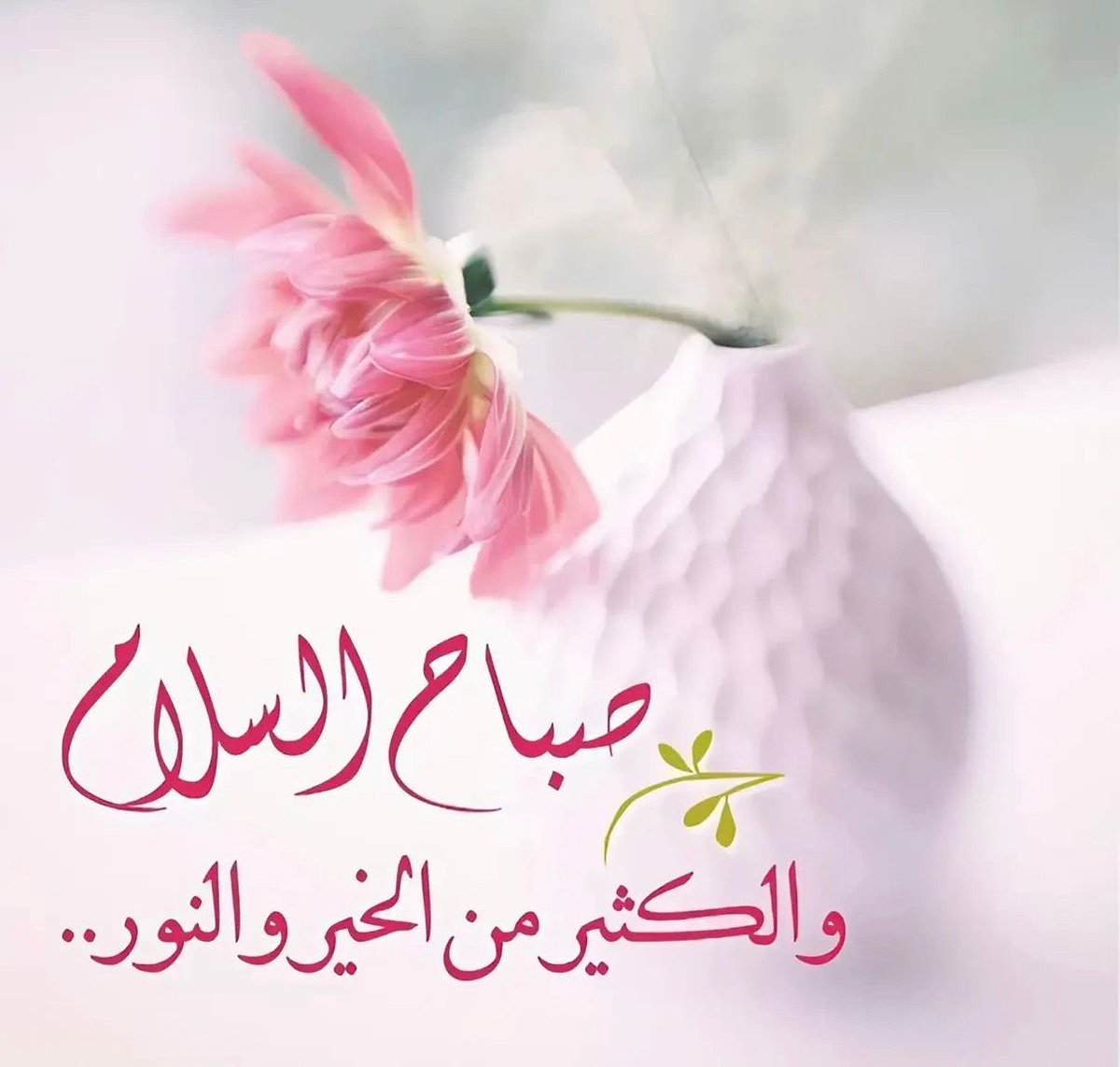 رؤى 💕 tweet media