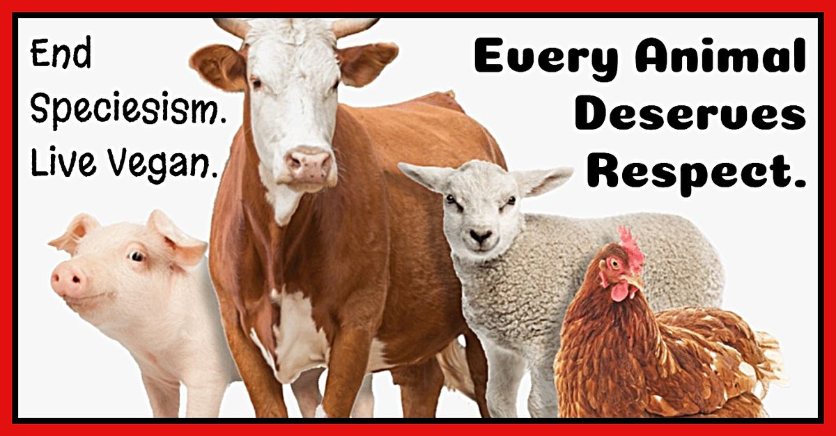VeganTownUSA Ⓥ Ⓜ️ 🌱♻️🏌️‍♀️ tweet media