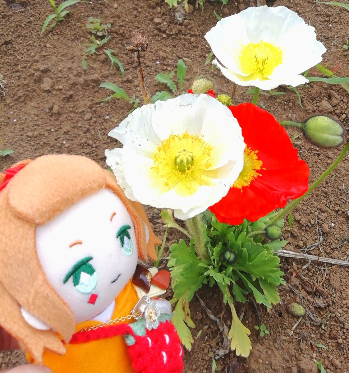 ぱな🐱 tweet media