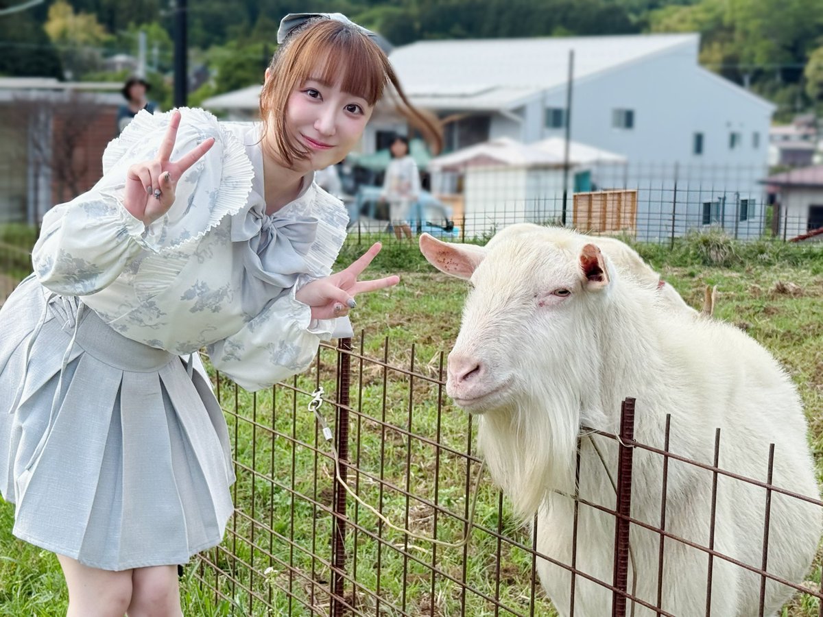 高尾奏音 tweet media