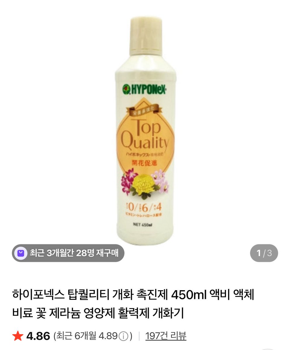고사리집사 tweet media