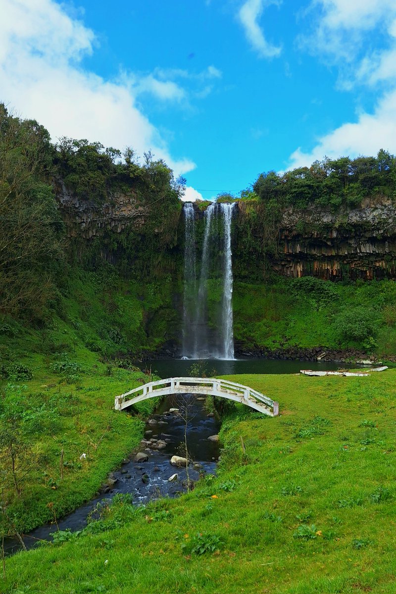 Mooncherry28's tweet image. A Green Hidden Place
#photogaphy #landscapes
