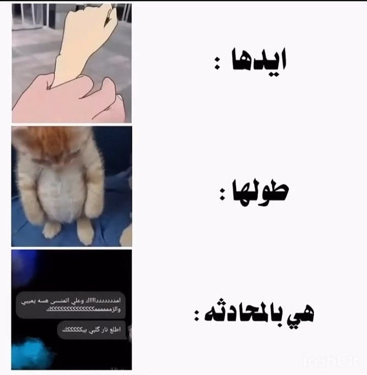 بيرل tweet media
