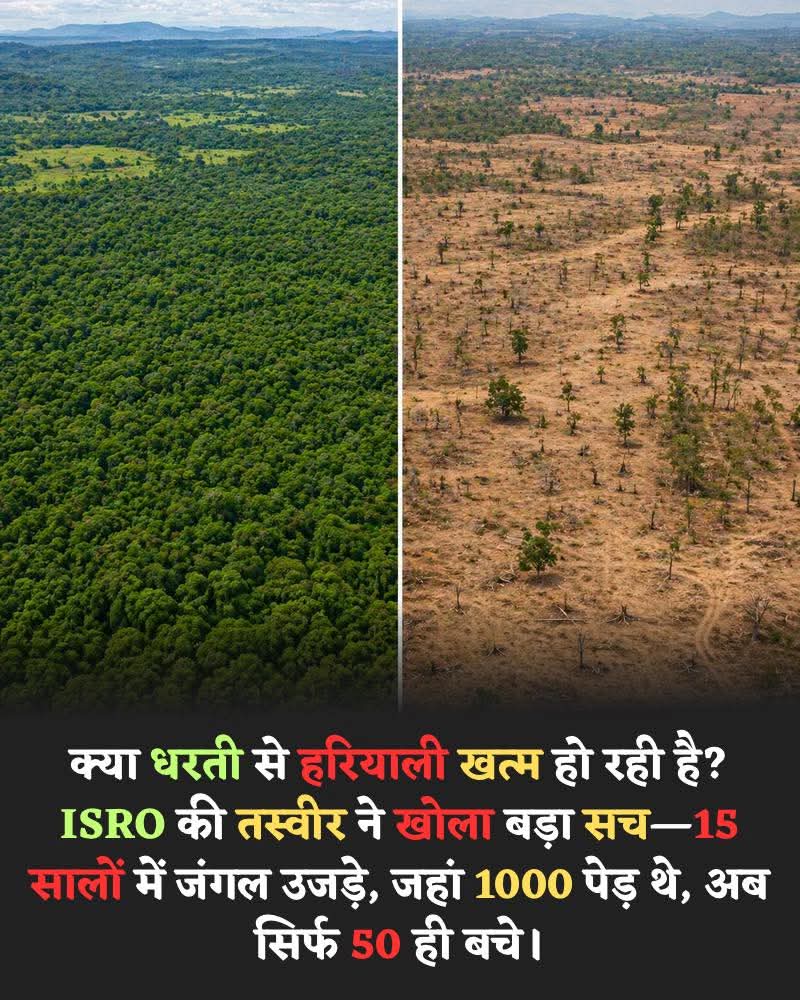 Garvi Rawat tweet media