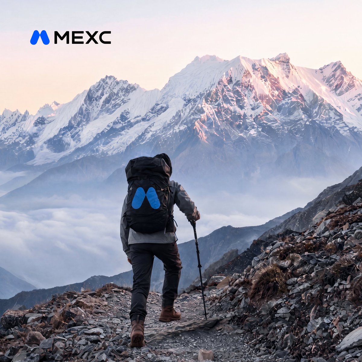 MEXC South Asia tweet media
