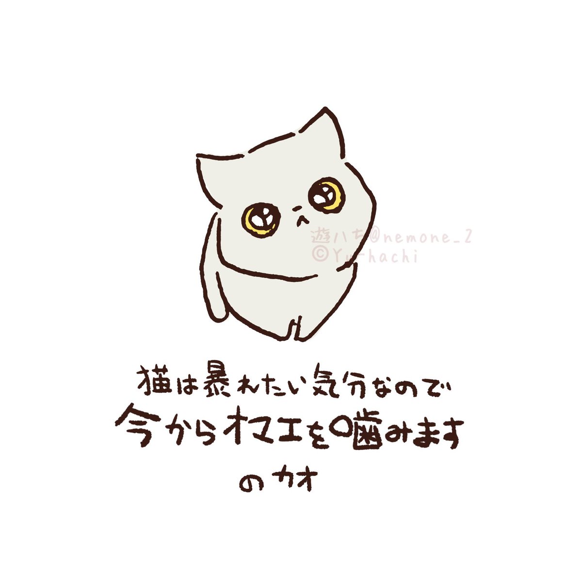 遊ハち tweet media
