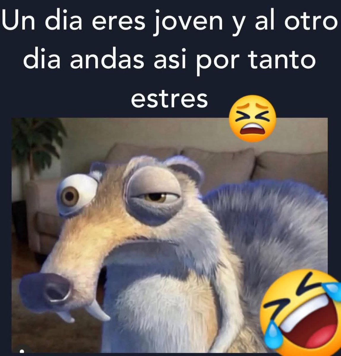 El Meme tweet media