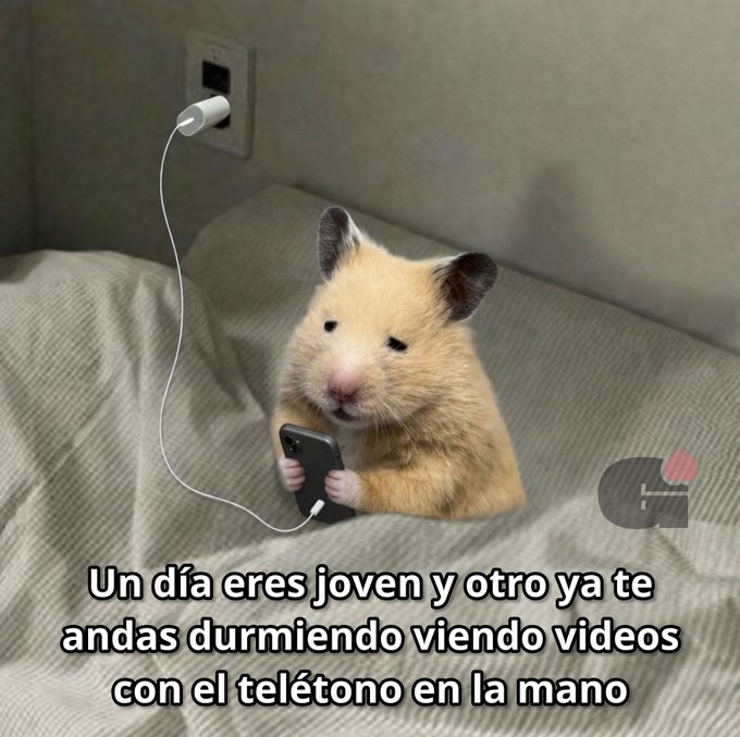 Pensamientos (@frasesimple) on Twitter photo 