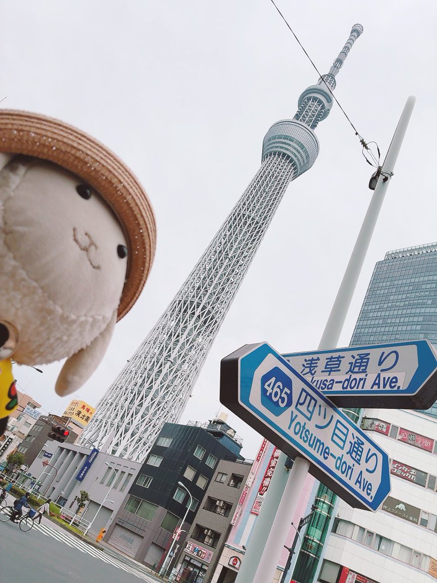 ラプくん【Lamb Love Choppers】 tweet media