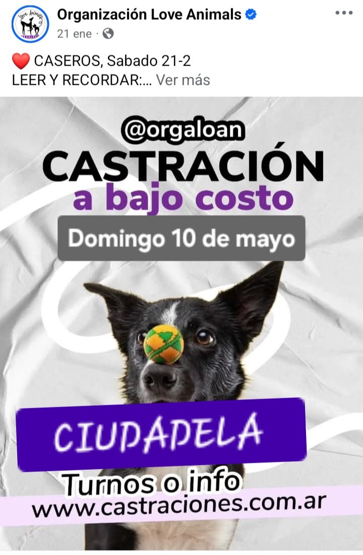 protegealanimal's tweet image. TRES DE FEBRERO
#TRESDEFEBRERO #VILLABOSCH #CIUDADJARDÍN #MARTÍNCORONADO #PABLOPODESTÁ #LOMAHERMOSA #11DESEPTIEMBRE #CHURRUCA  #CASEROS #SANTOSLUGARES #SÁENZPEÑA #VILLARAFFO #JOSÉINGENIEROS #CIUDADELA #ZONAOESTE #GRANBSAS #BSAS #CONURBANO