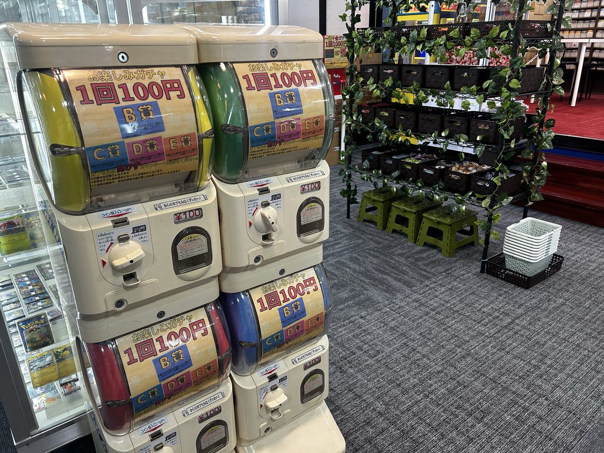 カドカーズ（瑞浪店）ポケモンカード・ワンピースカード・遊戯王カード専門店 tweet media