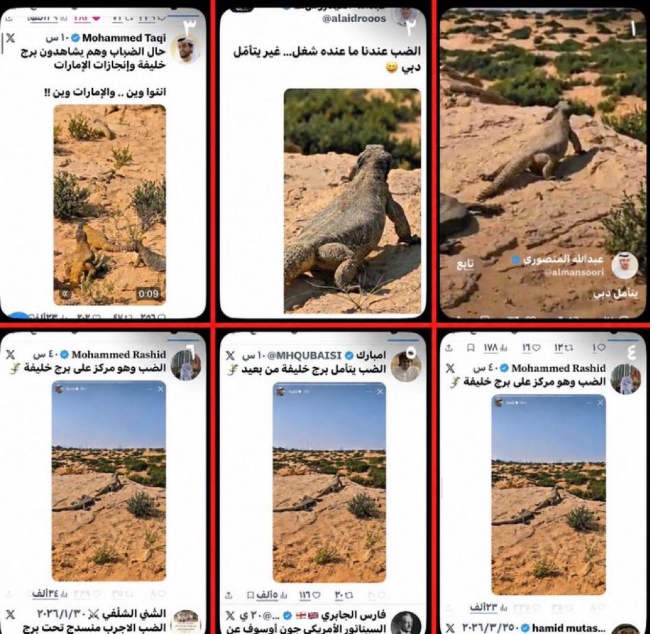 عبدالله السالم tweet media