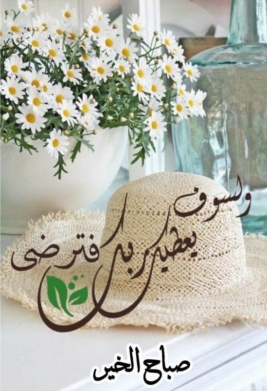 نـــــــٌ🕊دى tweet media