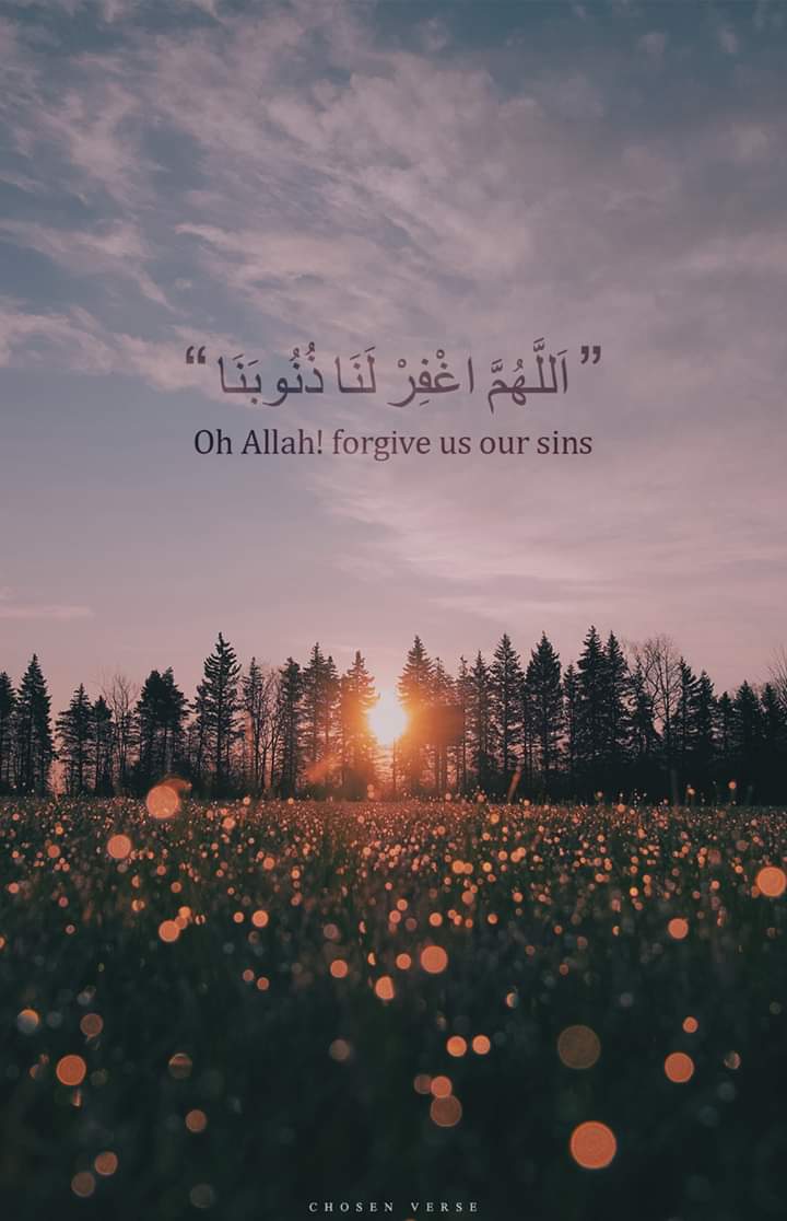 المصحف الجامع tweet media