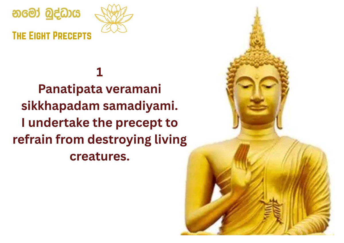 DeKrishanthi tweet picture