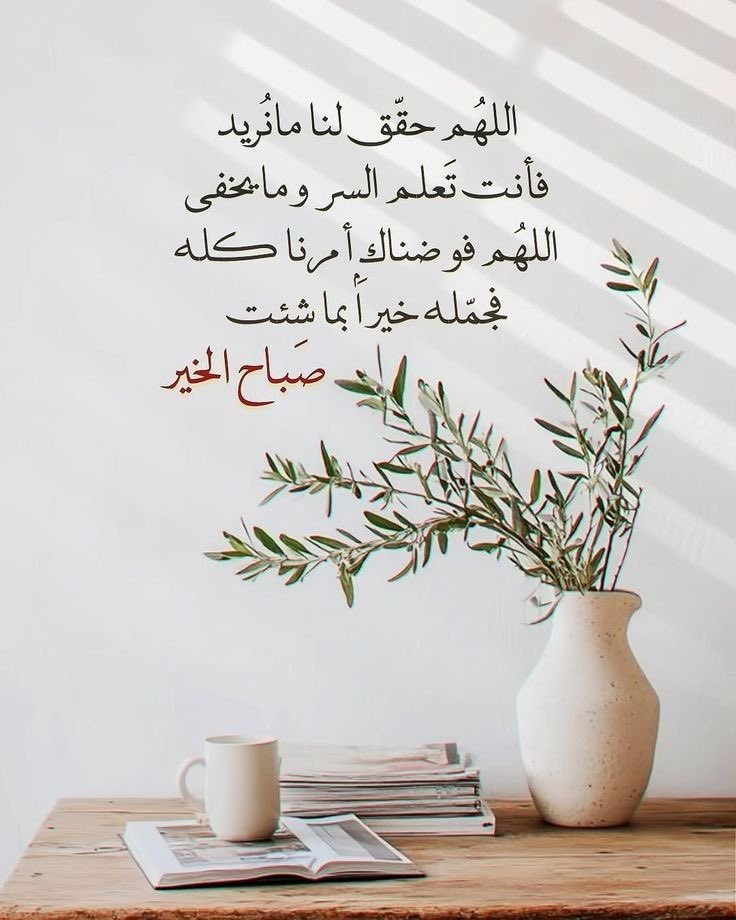 سلمى tweet media