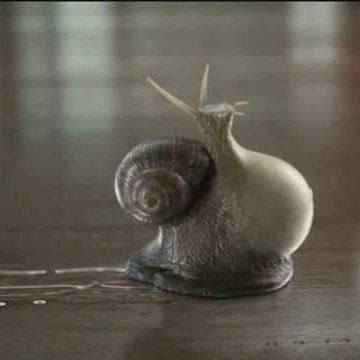 Snail tweet media