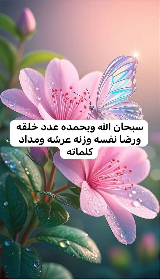 عبدالله بن دحيم القنون . أبوفهد . حائل tweet media