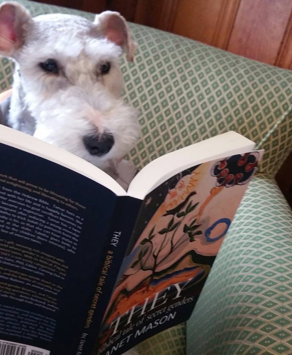 amusejanetmason's tweet image. Growing stronger with religion: Revisiting THEY, a biblical tale of secret genders #FaithfullyLGBT #amreading

Each time that I've been harassed, the result is that I become stronger, and the message of the book is still growing.

wix.to/aRN3JNp