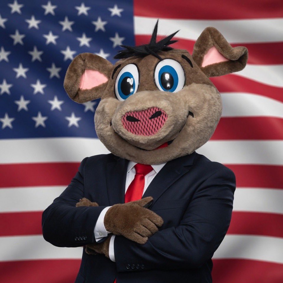 USA247 tweet media