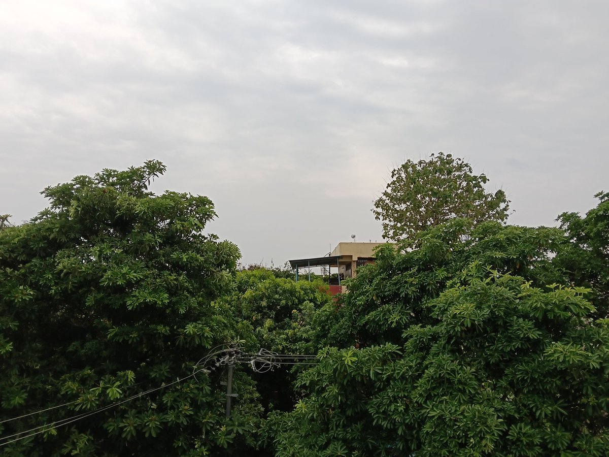 Swagatikamahan7's tweet image. Good morning.............
Radhe radhe ♥️🪷 
Happy Sunday 😁 
Beautiful weather 
#weatherphotography 
#summer