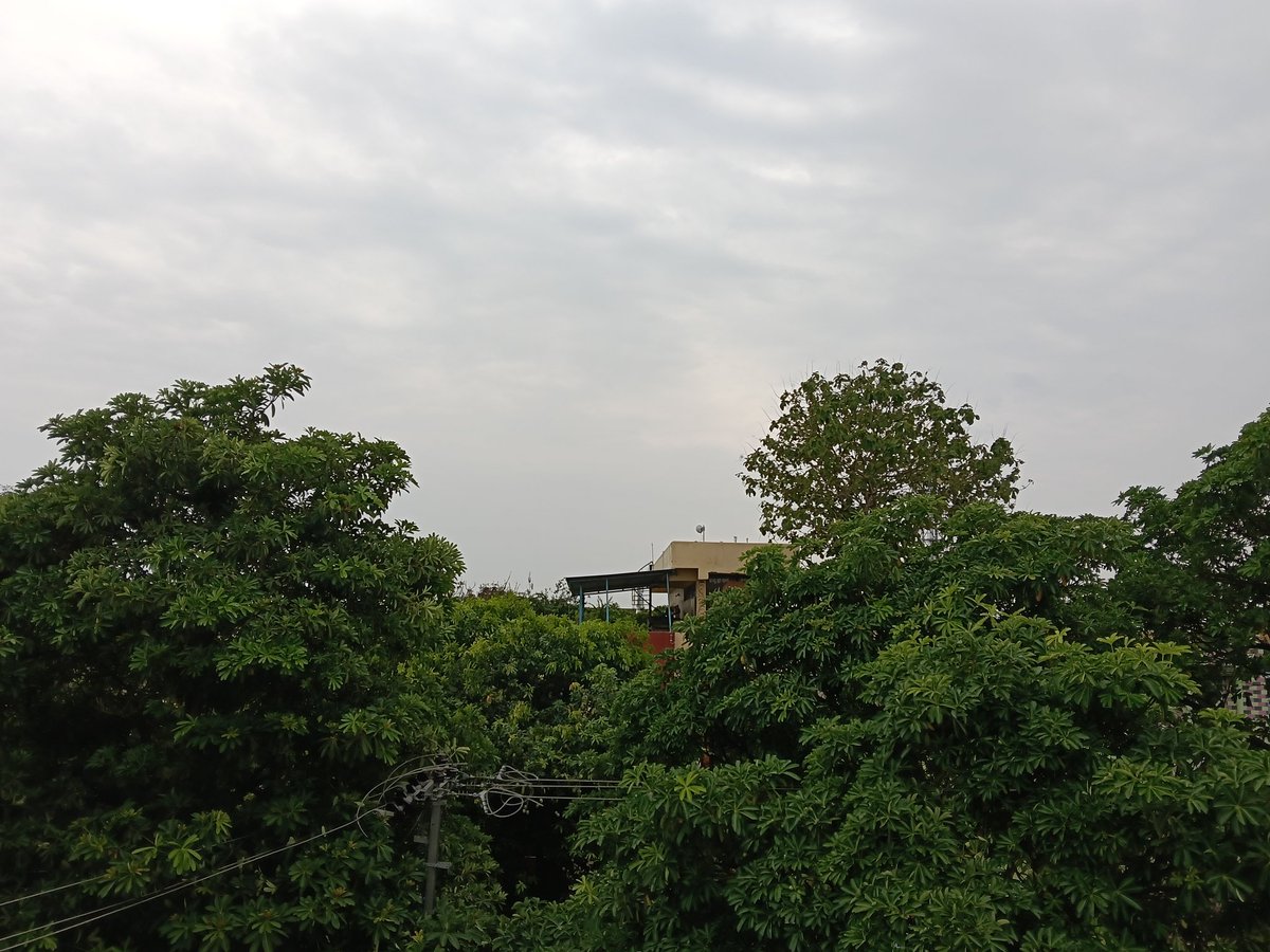 Swagatikamahan7's tweet image. Good morning.............
Radhe radhe ♥️🪷 
Happy Sunday 😁 
Beautiful weather 
#weatherphotography 
#summer