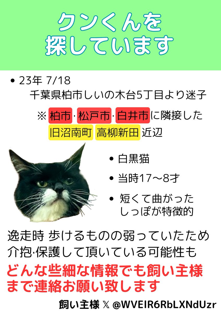 🐱クンくん
'23年 7/18 千葉県柏市しいの木台5丁目付近
柏陵高校近くより迷子
⚠️同年8/1近所で目撃情報あり

白黒猫 18才
短く曲がったしっぽが特徴的

ゴールデンウィークの帰省やレジャーの際に気をつけて見てあげて下さい

目撃·保護情報は👇引用元の飼い主様までお願いします🙏

#迷子猫
#迷い猫