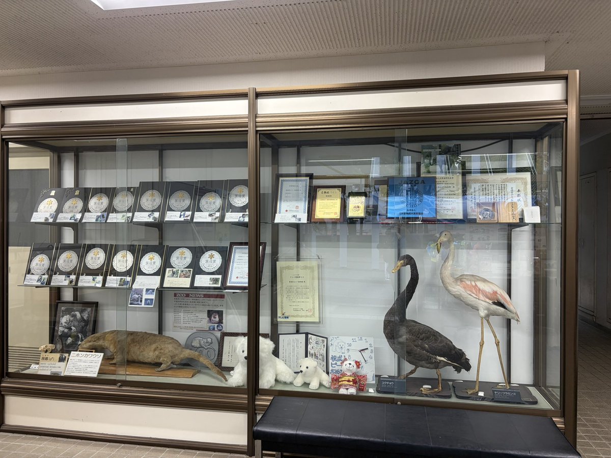 塩ら～めん tweet media