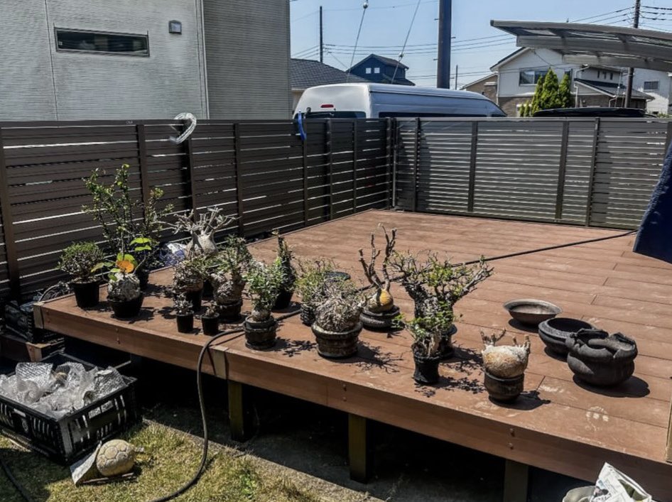 amapico's tweet photo. サボオクの後に千葉の三連星と監督、ユウヤ、俺の6人で植物と鉢を持ち寄っての植え替え大会。最高に楽しかった🪴🍻 https://t.co/ST9BbUO4MX
