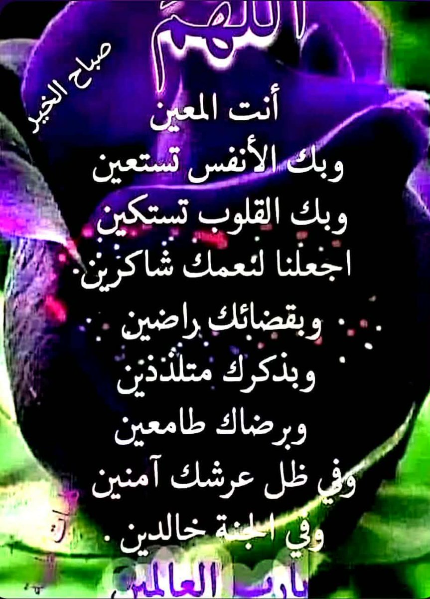 إبن خلدون حساب بديل tweet media