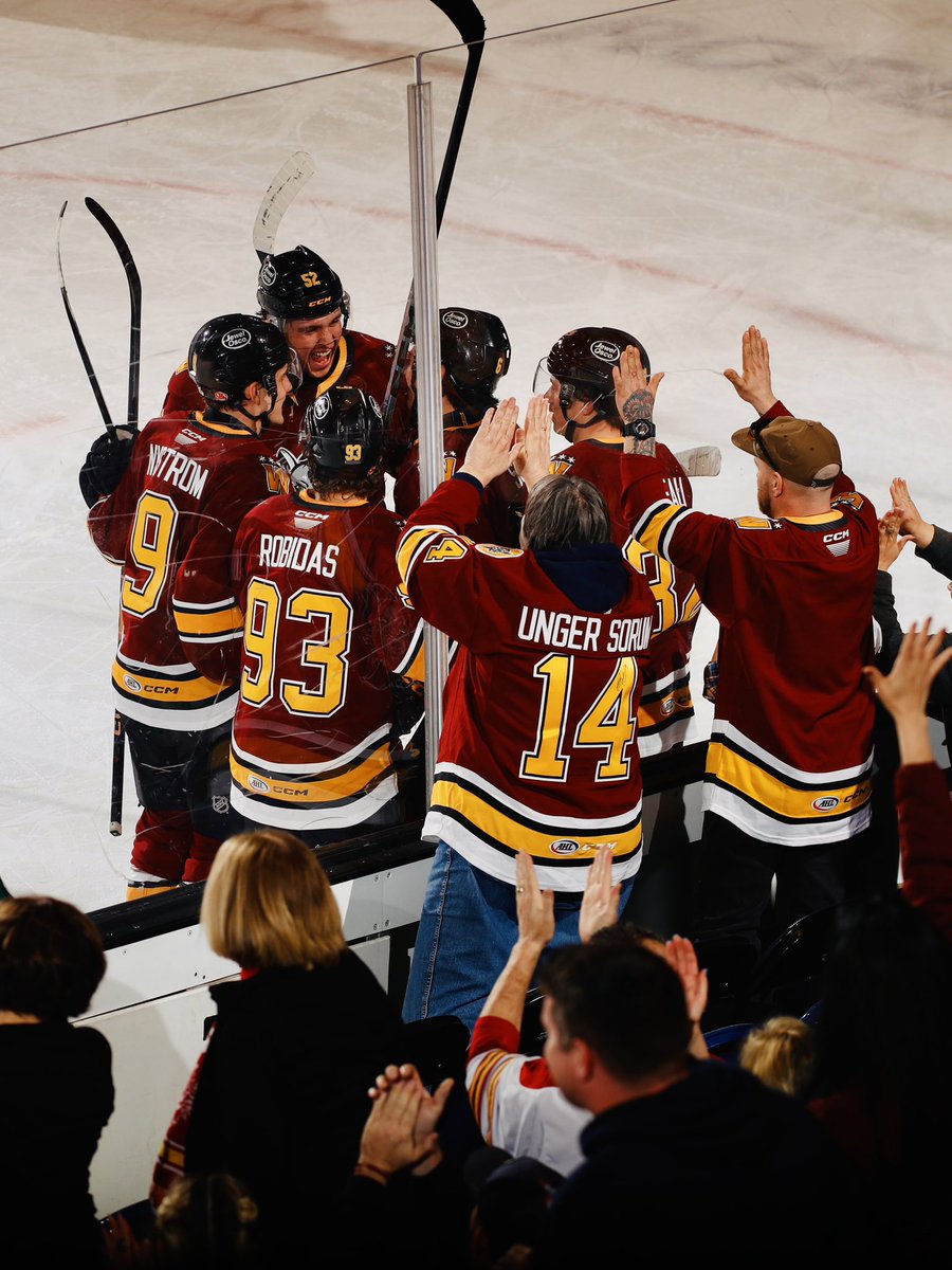 x- Chicago Wolves tweet media