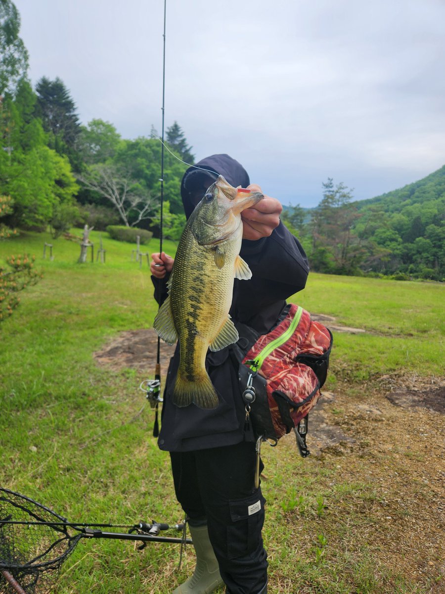 JSoccer2132's tweet photo. 朝から50Upと40Up🐟 https://t.co/15OIG44sxr