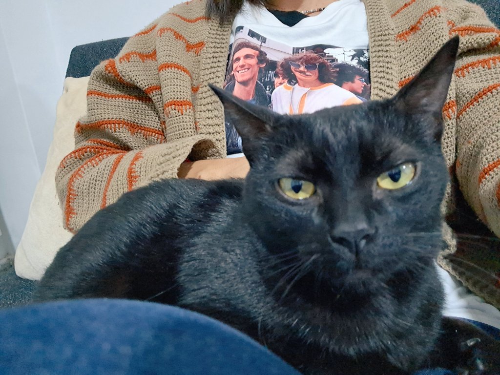 maru tweet media