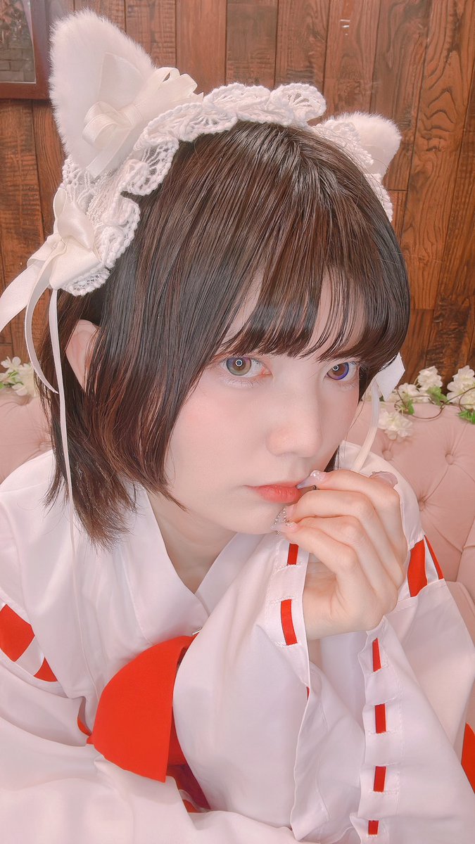 🌸日本橋コンカフェmicoざくら🌸 ==本日の巫女猫神社== ⛩️5月3日(日