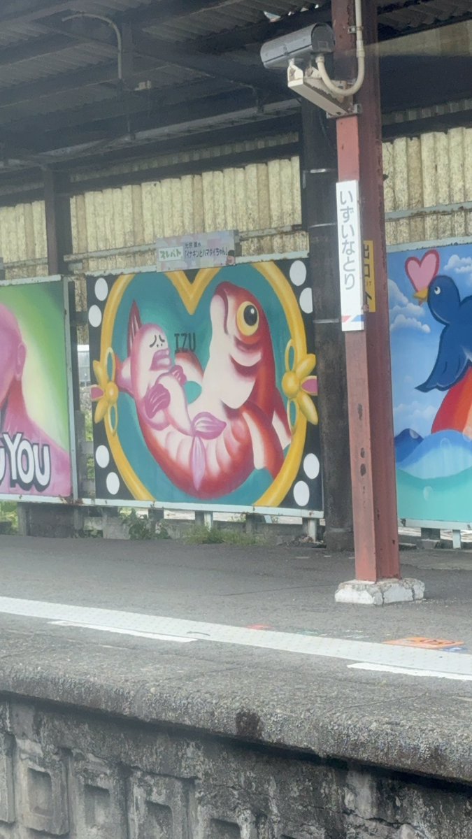 まっちゃこ🌙組 tweet media