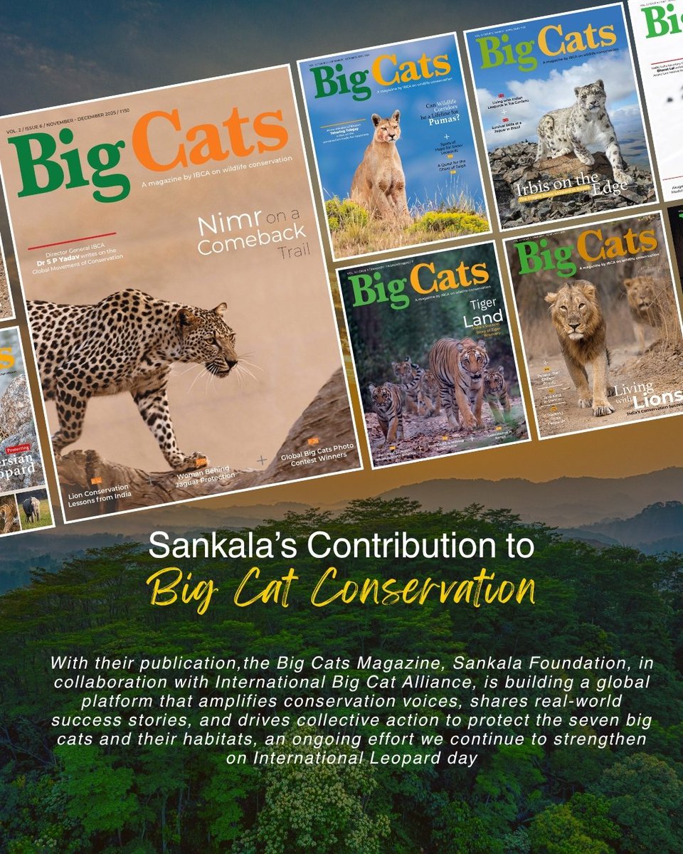 Sankala_India's tweet photo. Leopards are among the most adaptable big cats, known for their stealth, resilience, and remarkable versatility, found across dense forests and rugged mountains to grasslands and human settlements.

With their publication, the Big Cats Magazine, #SankalaFoundation, in collaboration with the International Big Cat Alliance, shares stories that amplify conservation voices and strengthen collective efforts to protect the seven big cats and their habitats.

On International Leopard Day, the focus moves beyond survival to the balance that makes coexistence possible.

Because saving leopards means saving ecosystems.

#InternationalLeopardDay #BigCats #SaveEcosystem #SaveWildlife