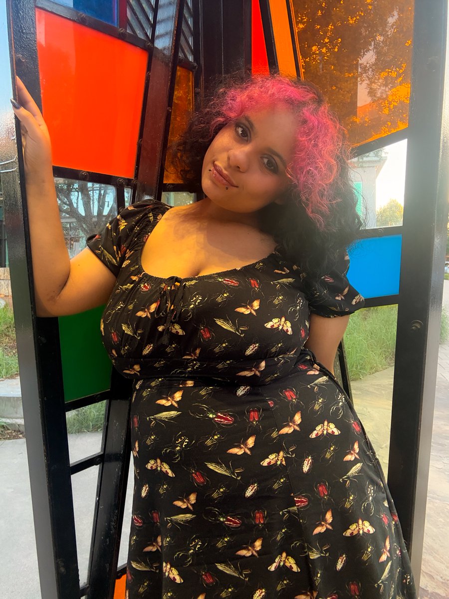 bug! 🦋 tweet media