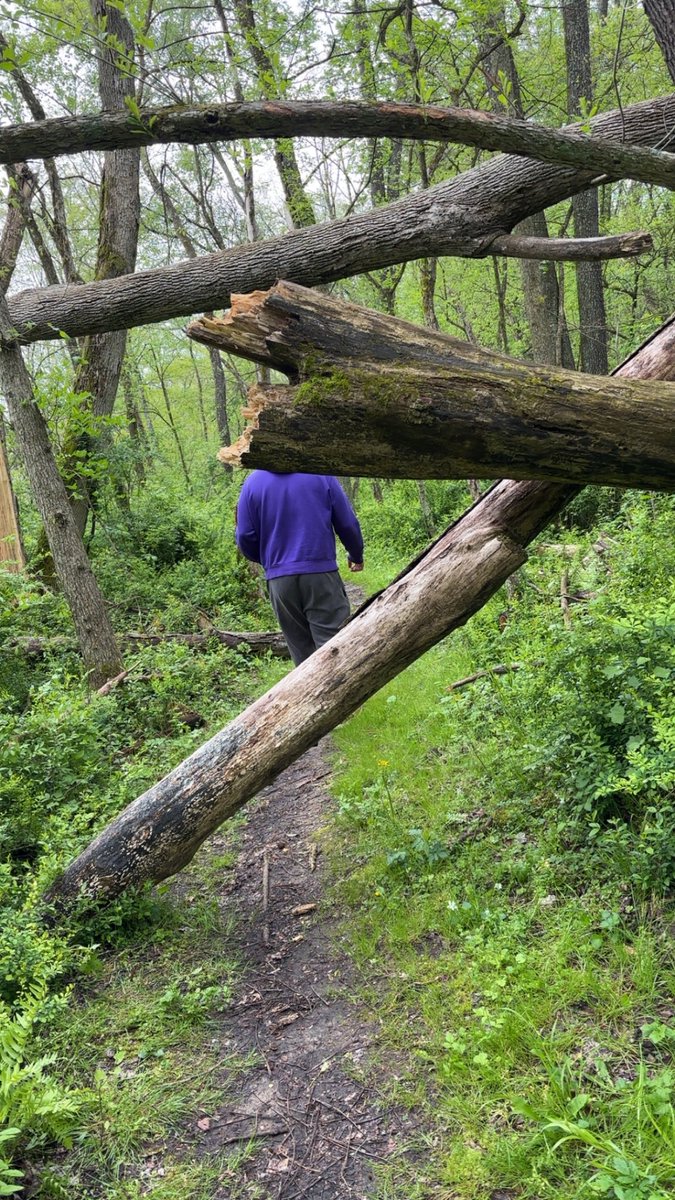 cmags26's tweet photo. “If a tree falls in a forest and no is around to hear it, does it make a sound? Had an awesome day hiking around @KenyonCollege @TheBFEC with @AnthonyMagera72 today!! https://t.co/IcumJLz2IN