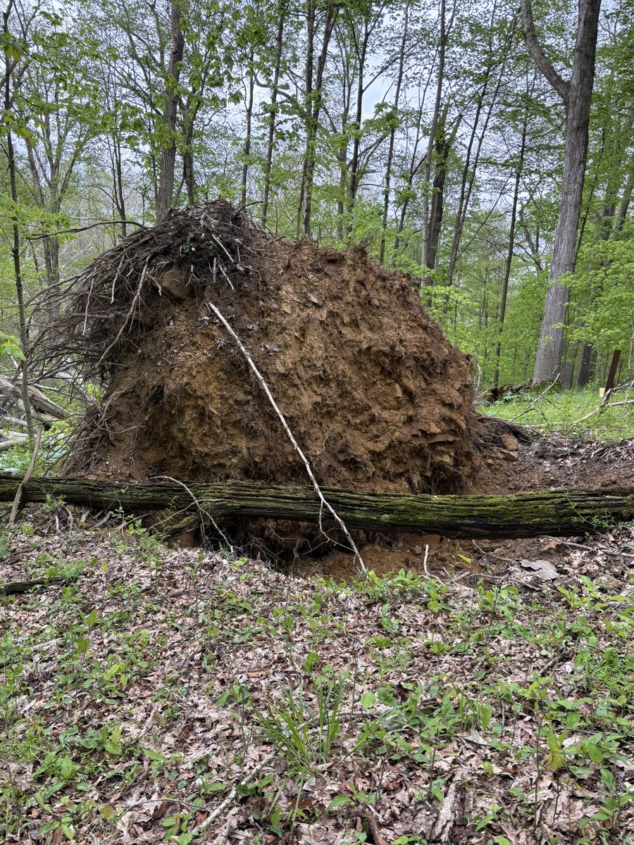 cmags26's tweet photo. “If a tree falls in a forest and no is around to hear it, does it make a sound? Had an awesome day hiking around @KenyonCollege @TheBFEC with @AnthonyMagera72 today!! https://t.co/IcumJLz2IN