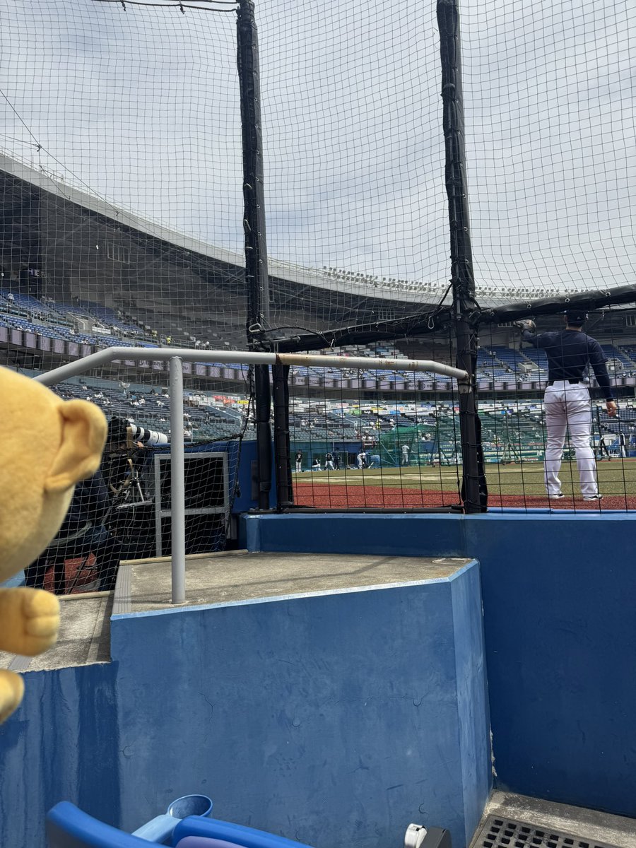 ちょび🐨⚾️🚗 tweet media