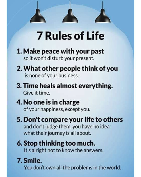 Seek Wiser tweet media