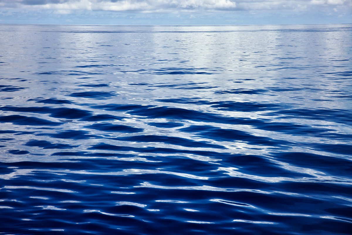 DeepGreens2's tweet image. Glossy Blues...🌺 #Photography #BeachLife #Caribbean #Nature #Canon