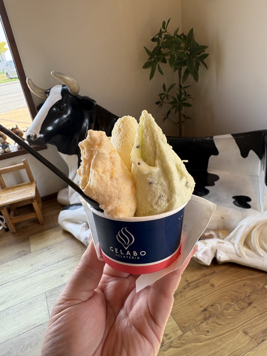 スイーツが続いてる😂

お腹ぱんぱんなので

清見タンゴール、パイン、キウイ🥝のさっぱりチョイス