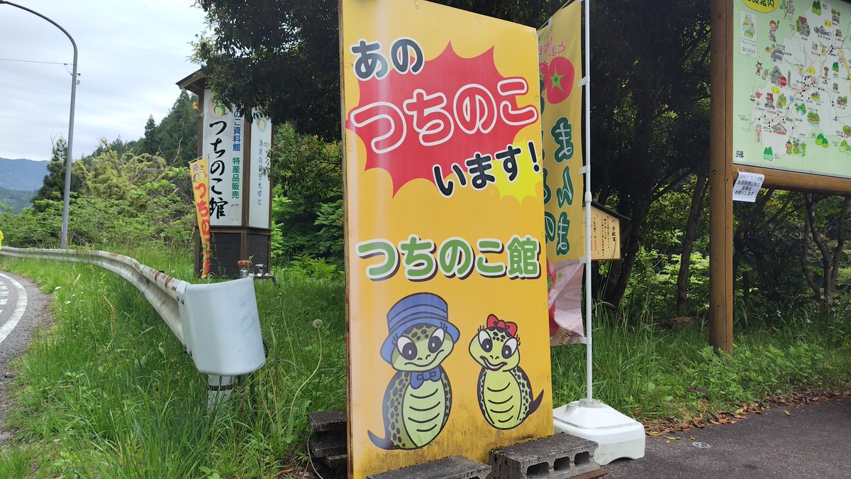 ツチノコさま 専用ページ Amazon.co.jp: ツチノコ撮影日誌 令和の「幻のヘンビ」伝説 : 今井