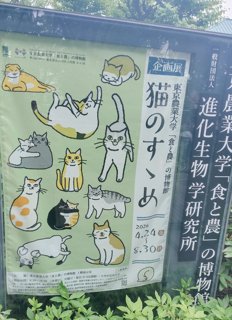 オグラマサヒコ tweet media