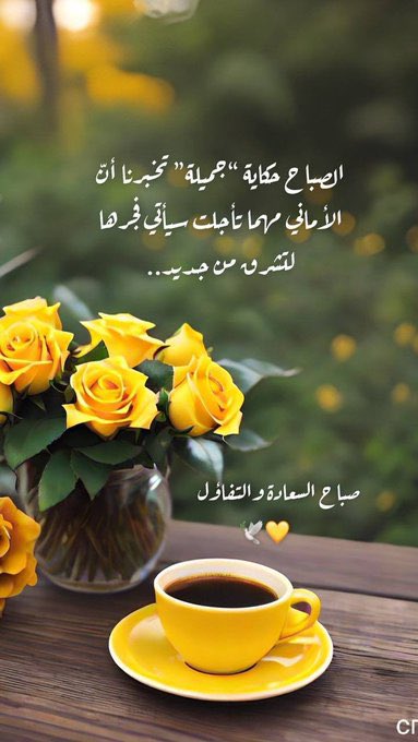 #صباح_النصر

 #صباح_الأشياء_المُشرقة