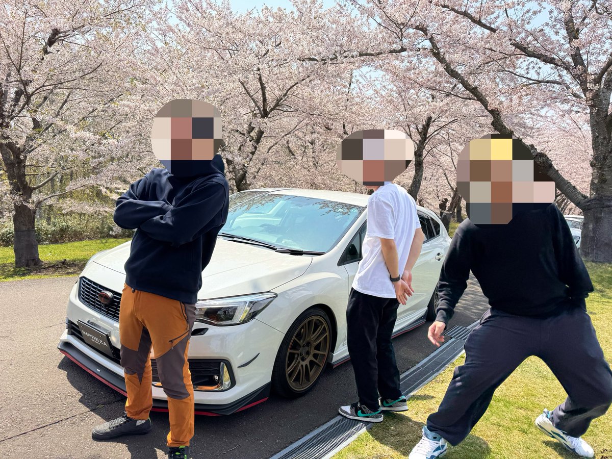 すがさん◢ ￨⁴⁶ ZTMY たぬきオーバーキル tweet media