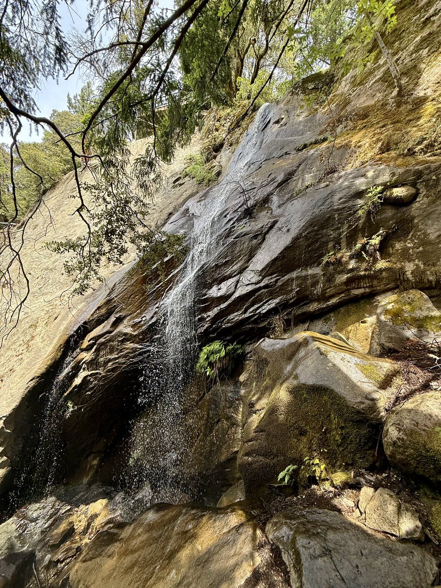 riiothewolf's tweet photo. @KingAkkord 📍Castle Rock State Park https://t.co/RaYCT61EVm